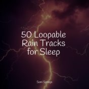 50 Loopable Rain Tracks for Sleep