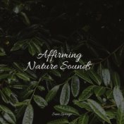 Affirming Nature Sounds