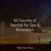 60 Sounds of Rainfall for Spa & Relaxation