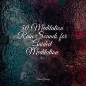 50 Meditation Rain Sounds for Guided Meditation