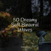 50 Dreamy Soft Binaural Waves