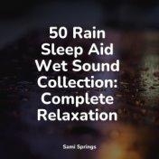 50 Rain Sleep Aid Wet Sound Collection: Complete Relaxation