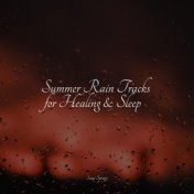 Summer Rain Tracks for Healing & Sleep