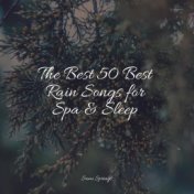 The Best 50 Best Rain Songs for Spa & Sleep