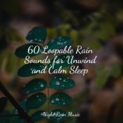 60 Loopable Rain Sounds for Unwind and Calm Sleep