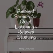 Ambient Sounds for Quiet Listening & Relaxed Studying