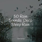 50 Rain Sounds: Deep Sleep Rain