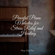 Peaceful Piano Melodies for Stress Relief and Healing