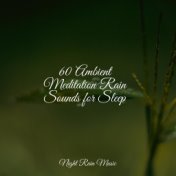 60 Ambient Meditation Rain Sounds for Sleep