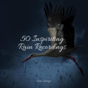 50 Loopable Rain Sounds for Sleep