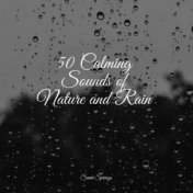 50 Calming Sounds of Nature and Rain