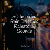 50 Inspiring Rain Drizzling Rainstorm Sounds