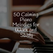 50 Calming Piano Melodies for Work and Study