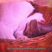 36 Living Room Rain Soothers