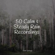 50 Calm & Steady Rain Recordings