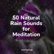 50 Natural Rain Sounds for Meditation