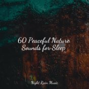 60 Peaceful Nature Sounds for Sleep