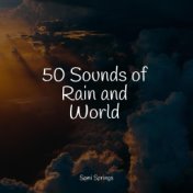 50 Sounds of Rain and World