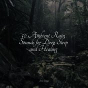 50 Ambient Rain Sounds for Deep Sleep and Healing