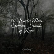 50 Winter Rain Sounds: Sounds of Rain