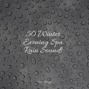 50 Winter Evening Spa Rain Sounds