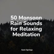 50 Monsoon Rain Sounds for Relaxing Meditation