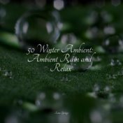 50 Winter Ambient: Ambient Rain and Relax