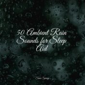 50 Ambient Rain Sounds for Sleep Aid