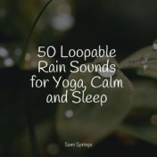 50 Loopable Rain Sounds for Yoga, Calm and Sleep