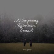 50 Inspiring Rainstorm Sounds