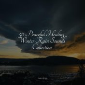 50 Peaceful Healing Winter Rain Sounds Collection