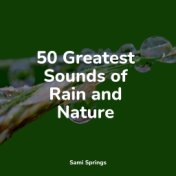 50 Greatest Sounds of Rain and Nature