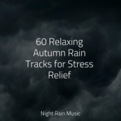 60 Relaxing Autumn Rain Tracks for Stress Relief