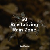 50 Revitalizing Rain Zone