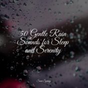 50 Gentle Rain Sounds for Sleep and Serenity