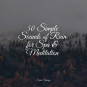 50 Simple Sounds of Rain for Spa & Meditation