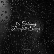 50 Calming Rainfall Songs