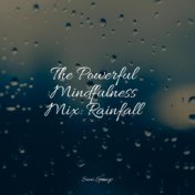 The Powerful Mindfulness Mix: Rainfall