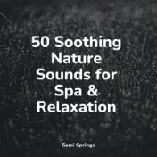 50 Soothing Nature Sounds for Spa & Relaxation