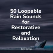 50 Loopable Rain Sounds for Restorative and Relaxation