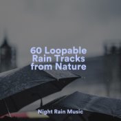 60 Loopable Rain Tracks from Nature