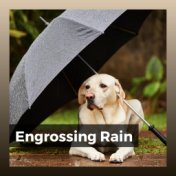 Engrossing Rain