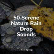 50 Serene Nature Rain Drop Sounds