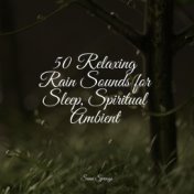 50 Relaxing Rain Sounds for Sleep, Spiritual Ambient