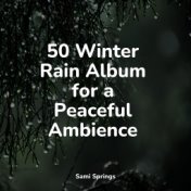 50 Winter Rain Album for a Peaceful Ambience