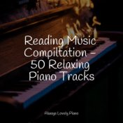 Reading Music Compiltation - 50 Relaxing Piano Tracks