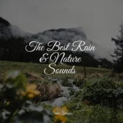 The Best Rain & Nature Sounds