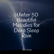 Winter 50 Beautiful Melodies for Deep Sleep Rain