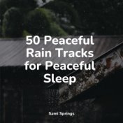 50 Peaceful Rain Tracks for Peaceful Sleep