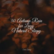 50 Autumn Rain for Lazy Natural Sleepy